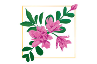Timeless Elegance: Using Vintage Pink Floral Illustrations